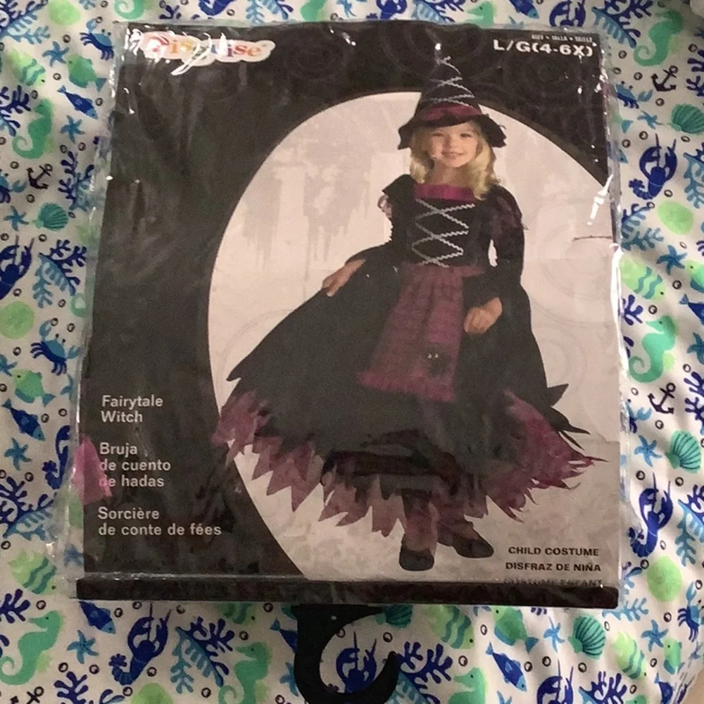 Costume Disguise Fairytale witch 🧙‍♀️ black purple silver worn one time Lg-4/6